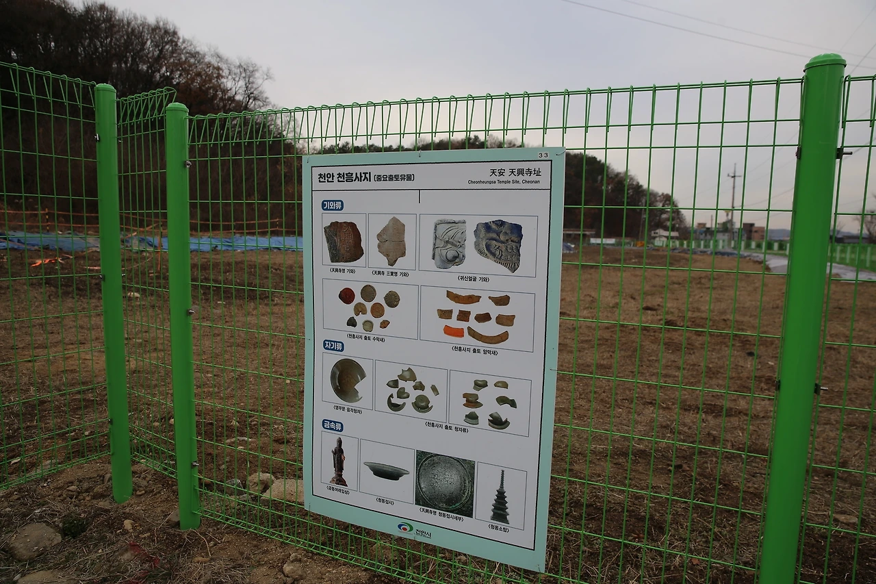 MG0A4441_новый размер.JPG