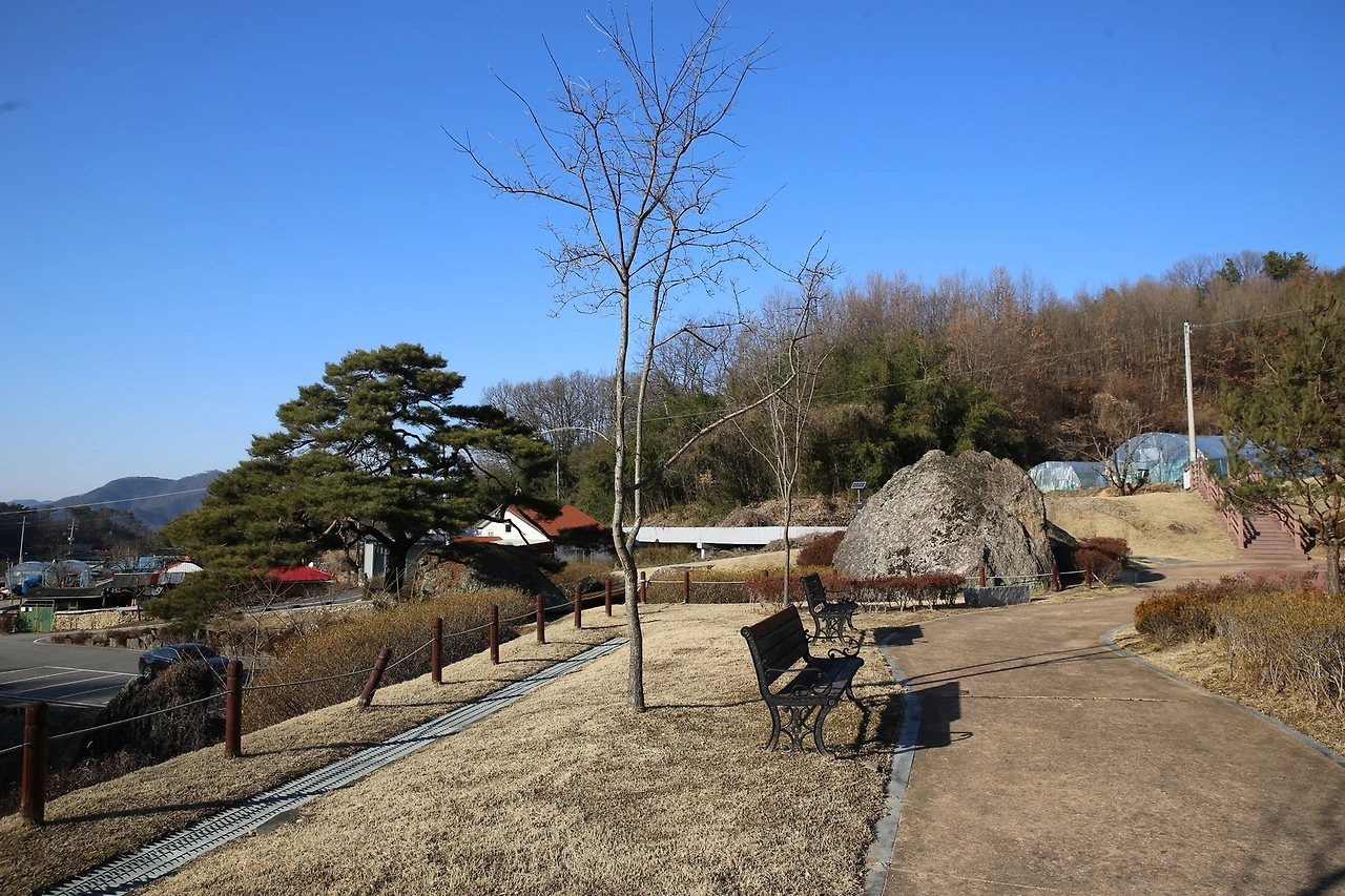 MG0A6058_новый размер.JPG