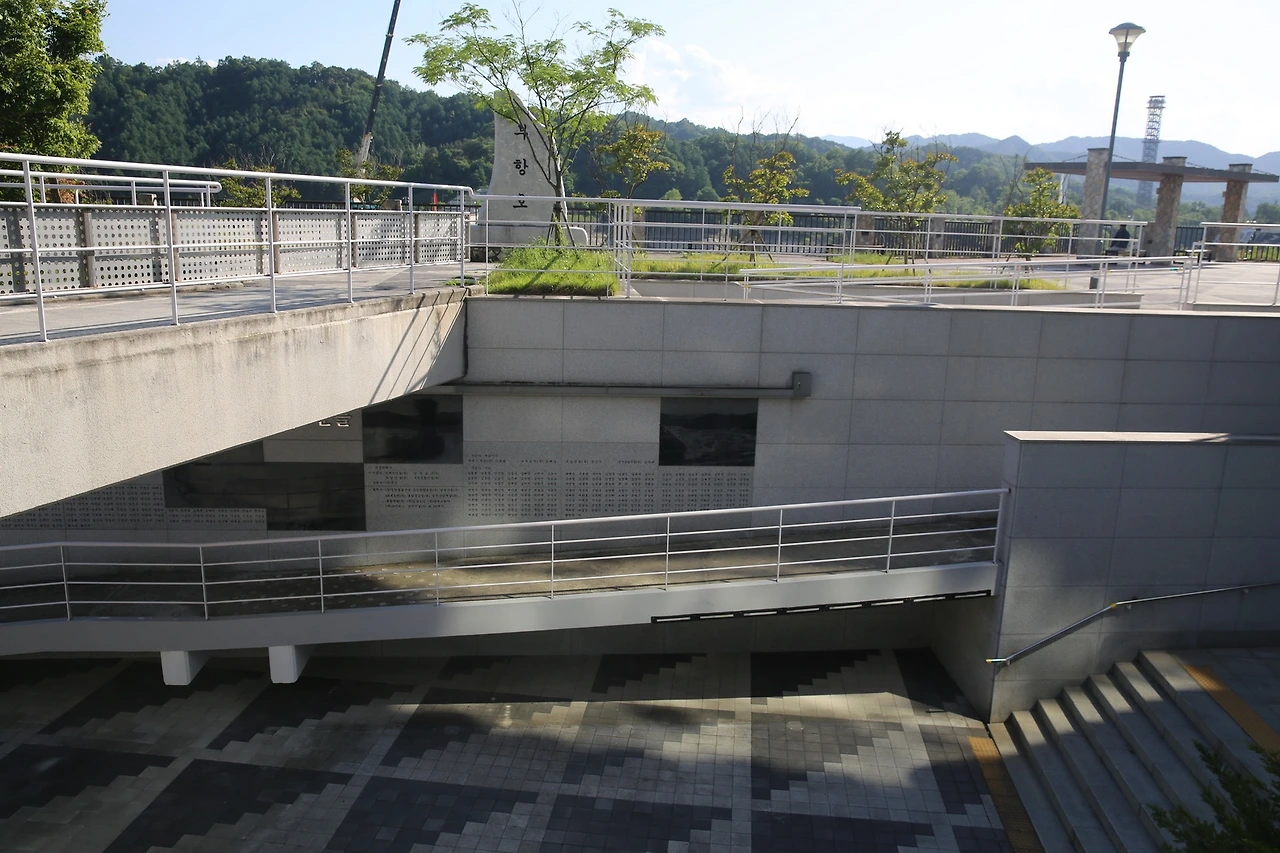 MG0A9523_новый размер.JPG