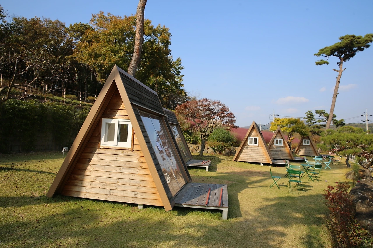 MG0A8763_новый размер.JPG