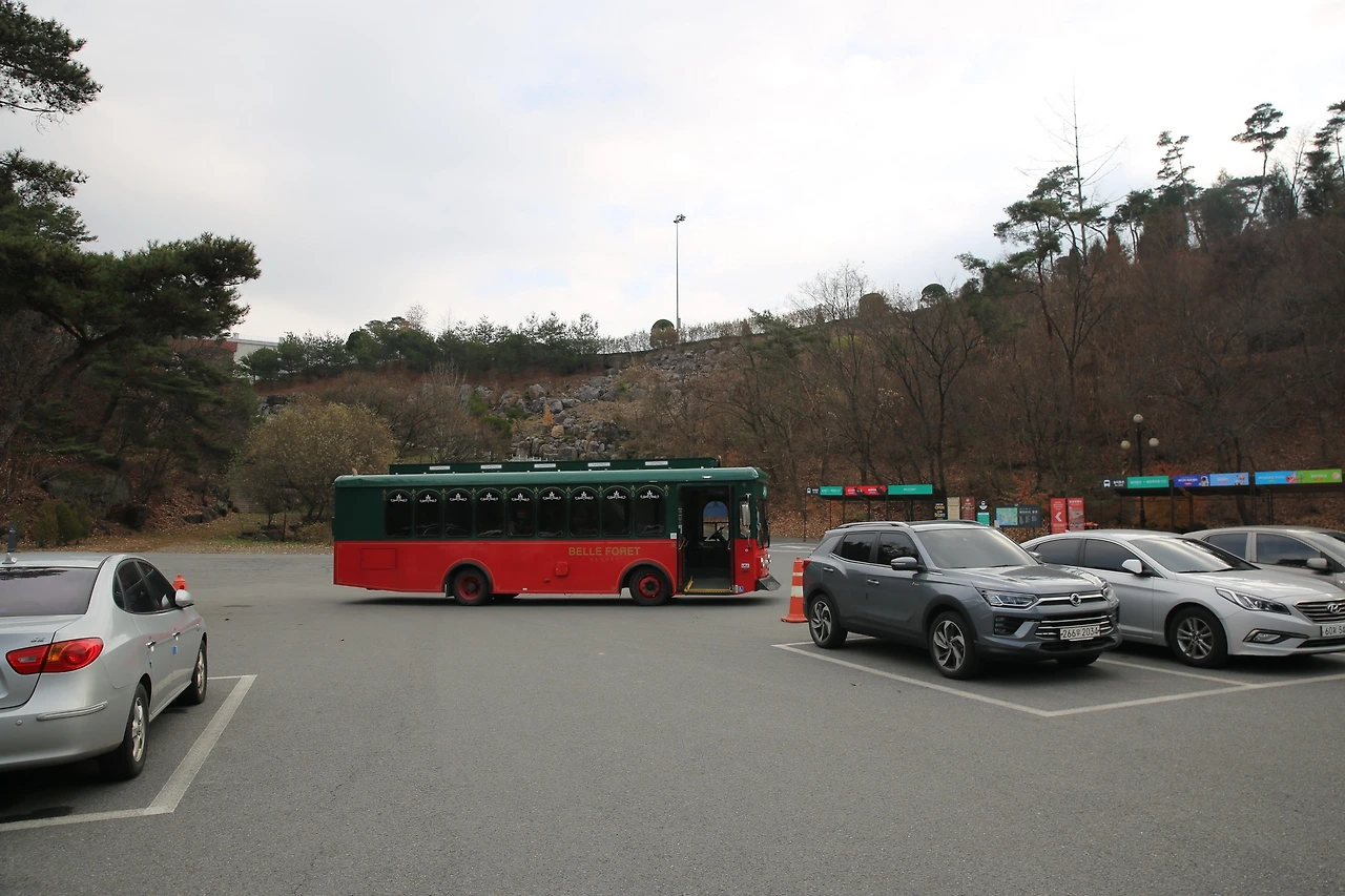 MG0A3130_новый размер.JPG