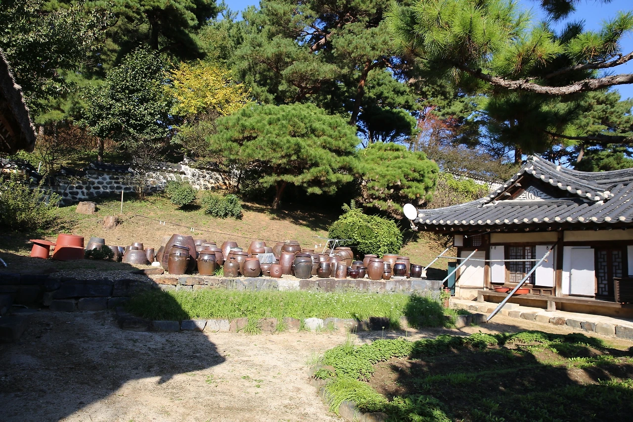 MG0A7429_новый размер.JPG