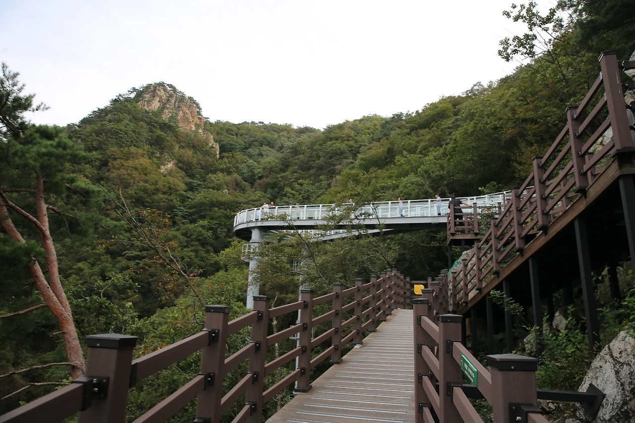 MG0A4087_новый размер.JPG