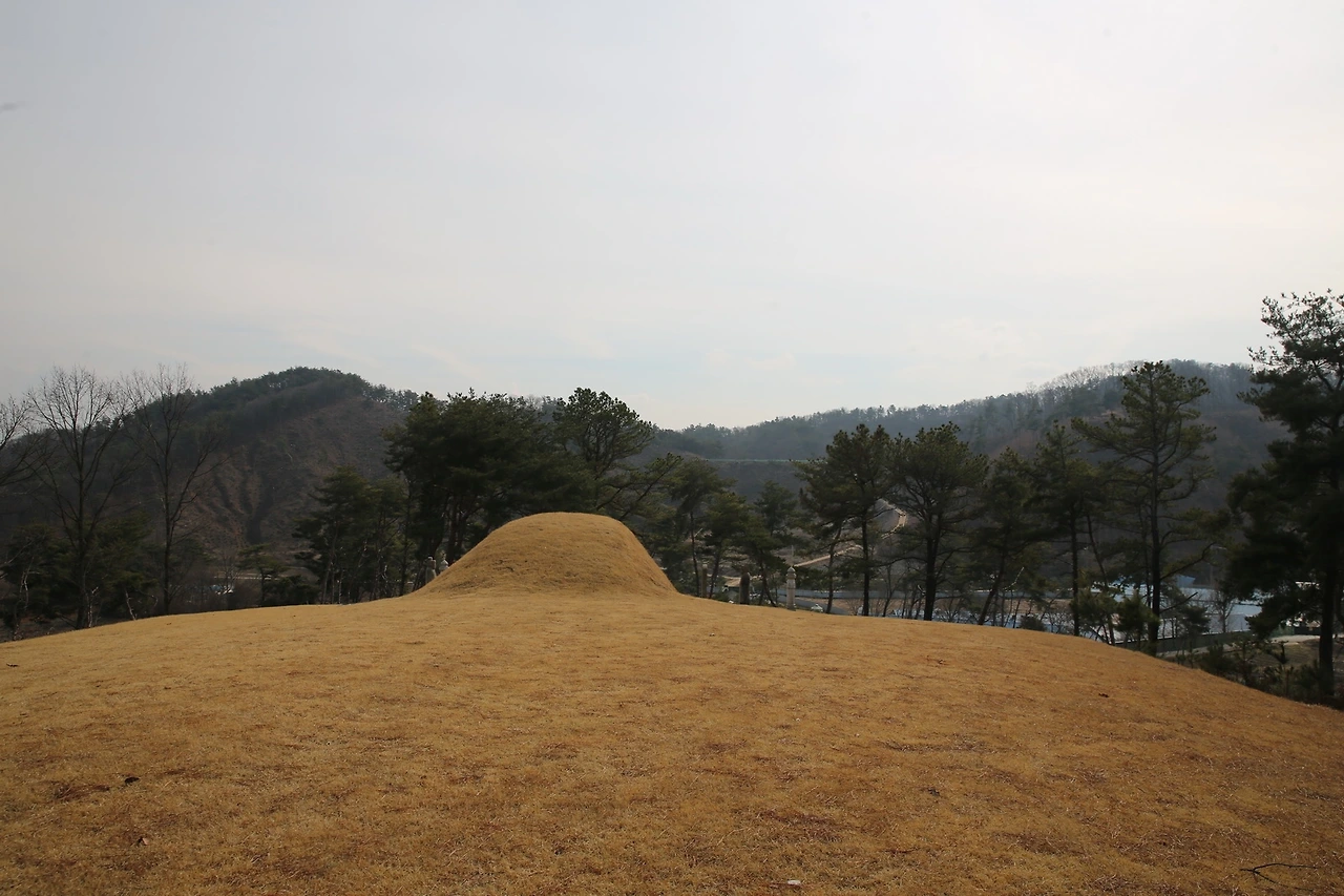 MG0A1519_новый размер.JPG