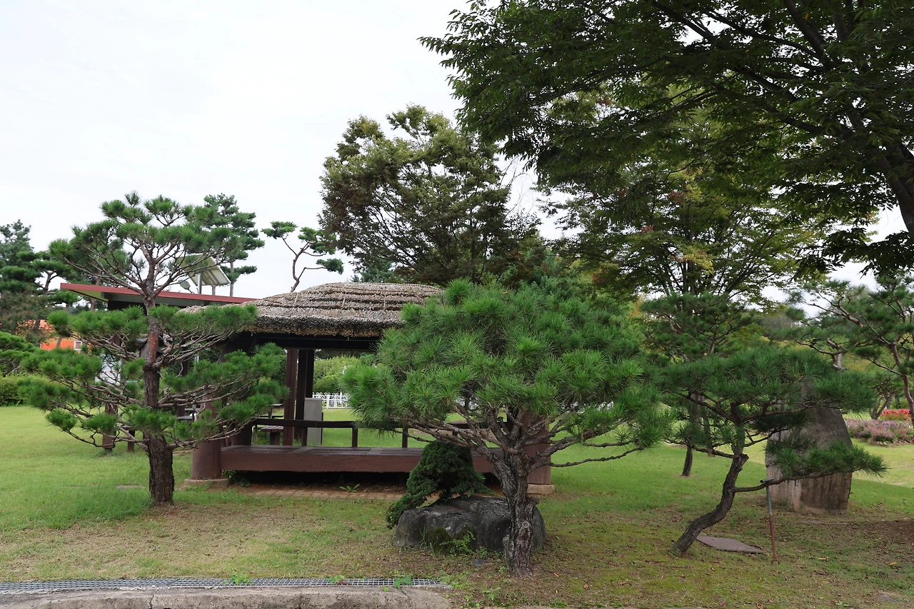 0R5A7697_новый размер.JPG