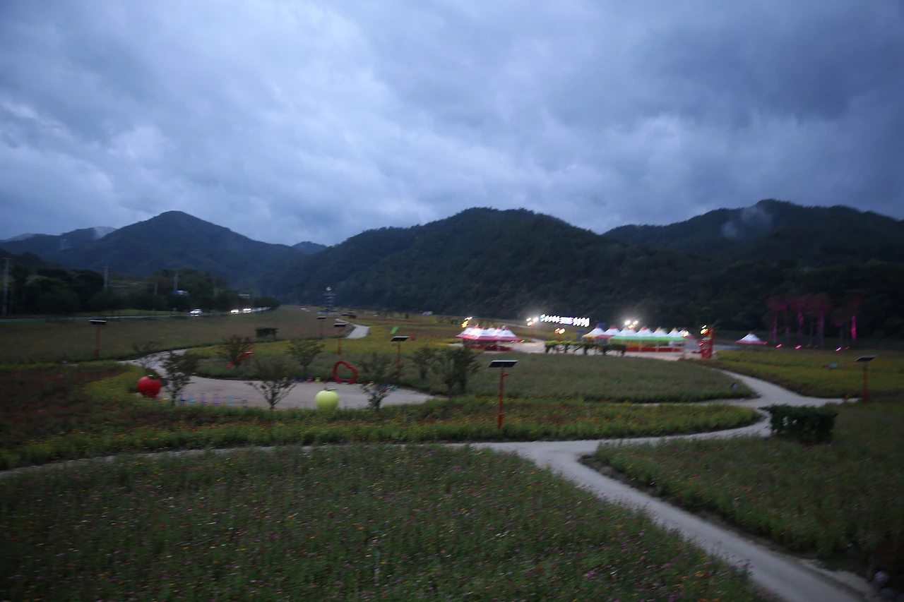 MG0A5784_новый размер.JPG