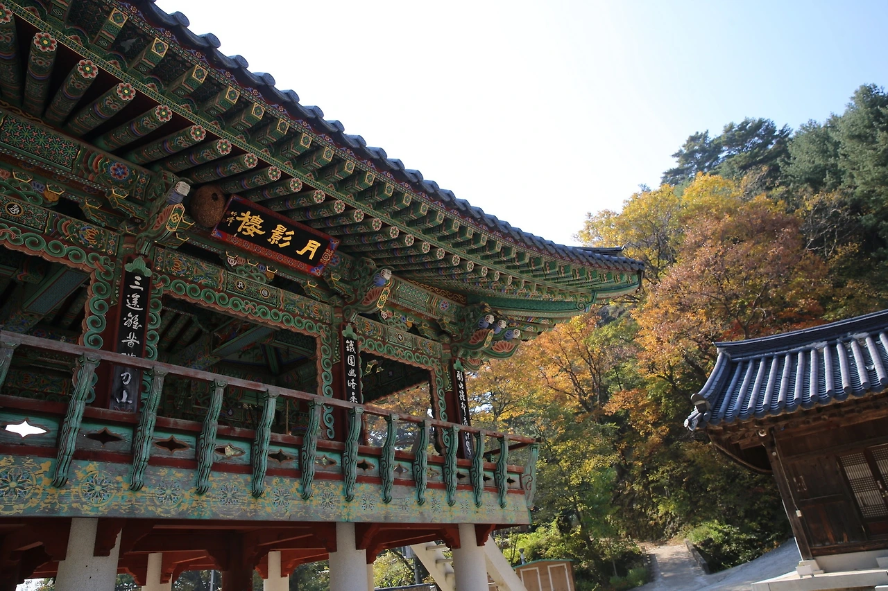 MG0A8232_новый размер.JPG