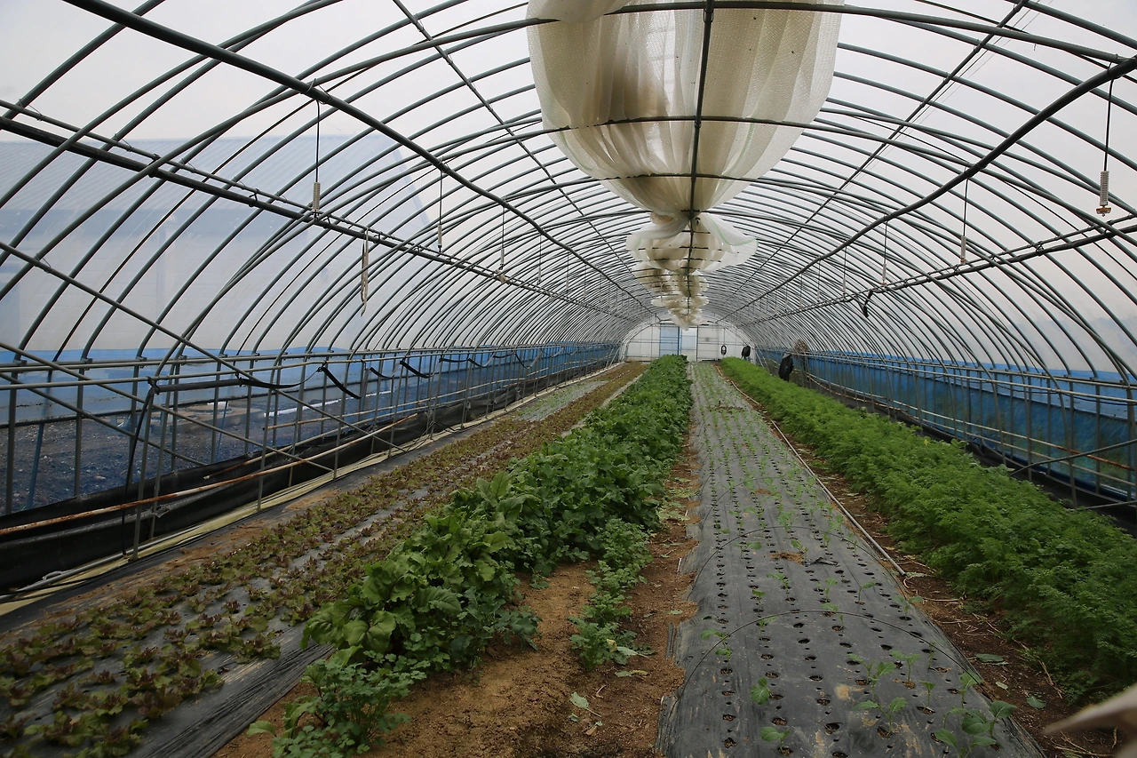 MG0A8765_новый размер.JPG