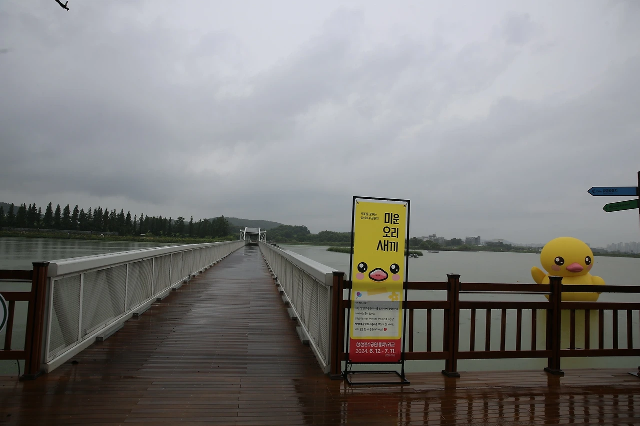 MG0A2544_новый размер.JPG