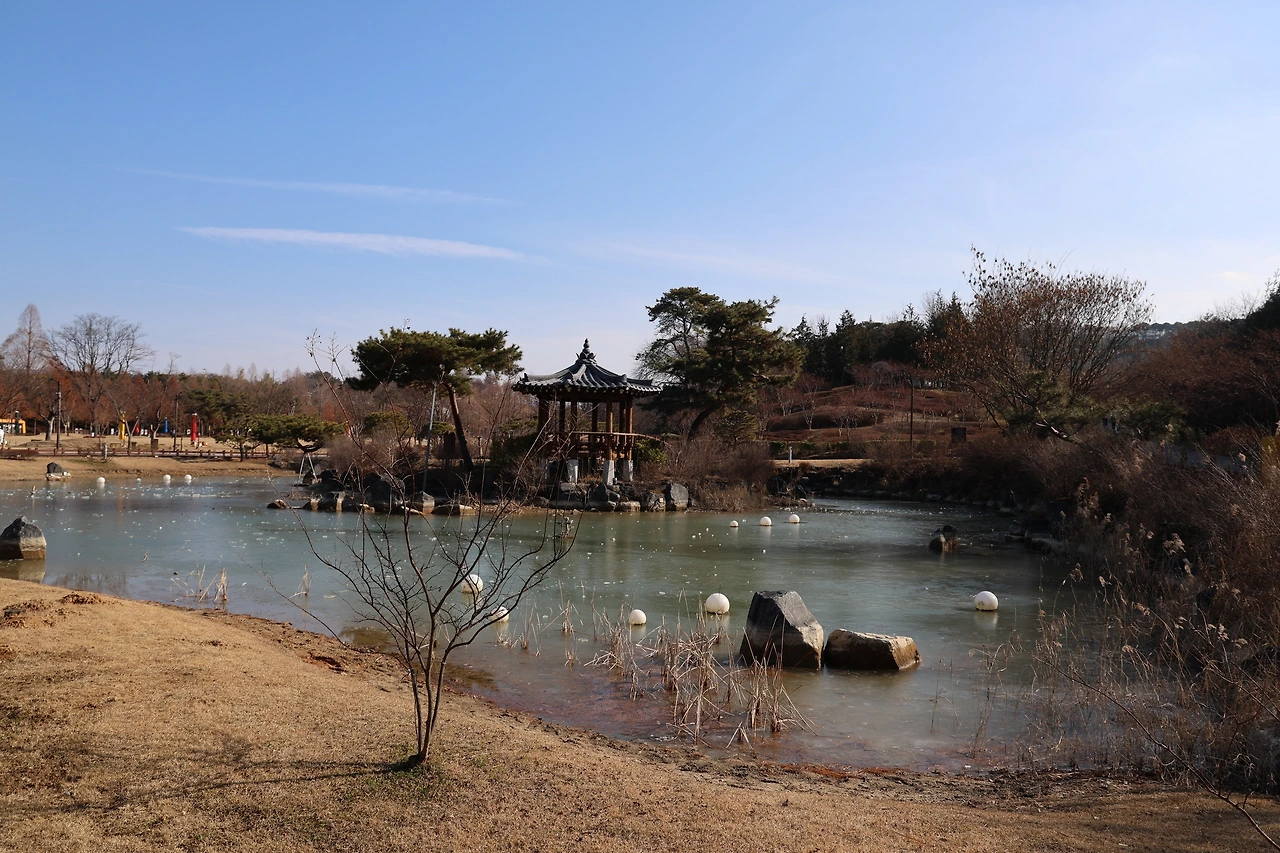 0R5A7419_новый размер.JPG