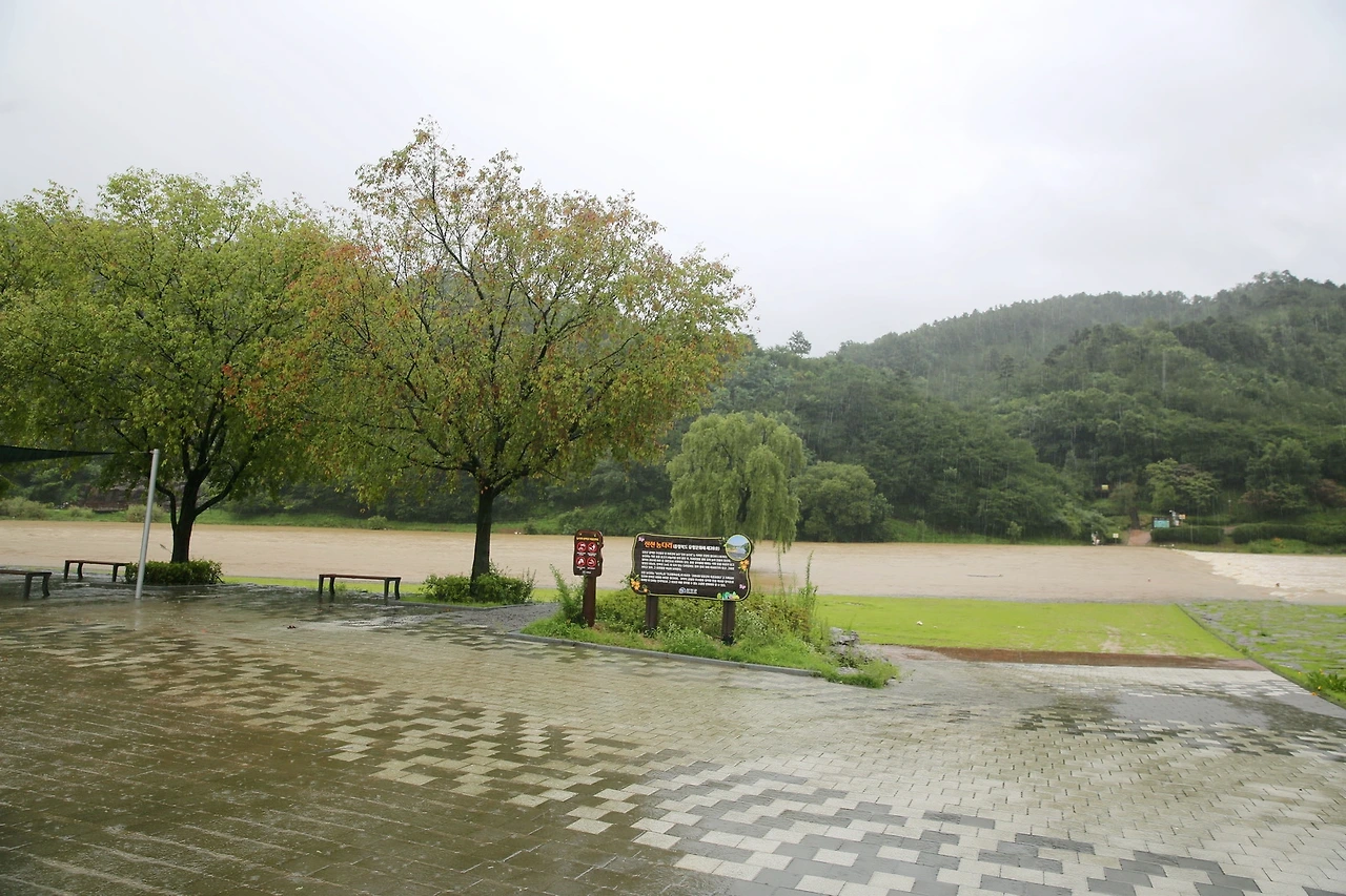 MG0A5282_новый размер_exposure.JPG