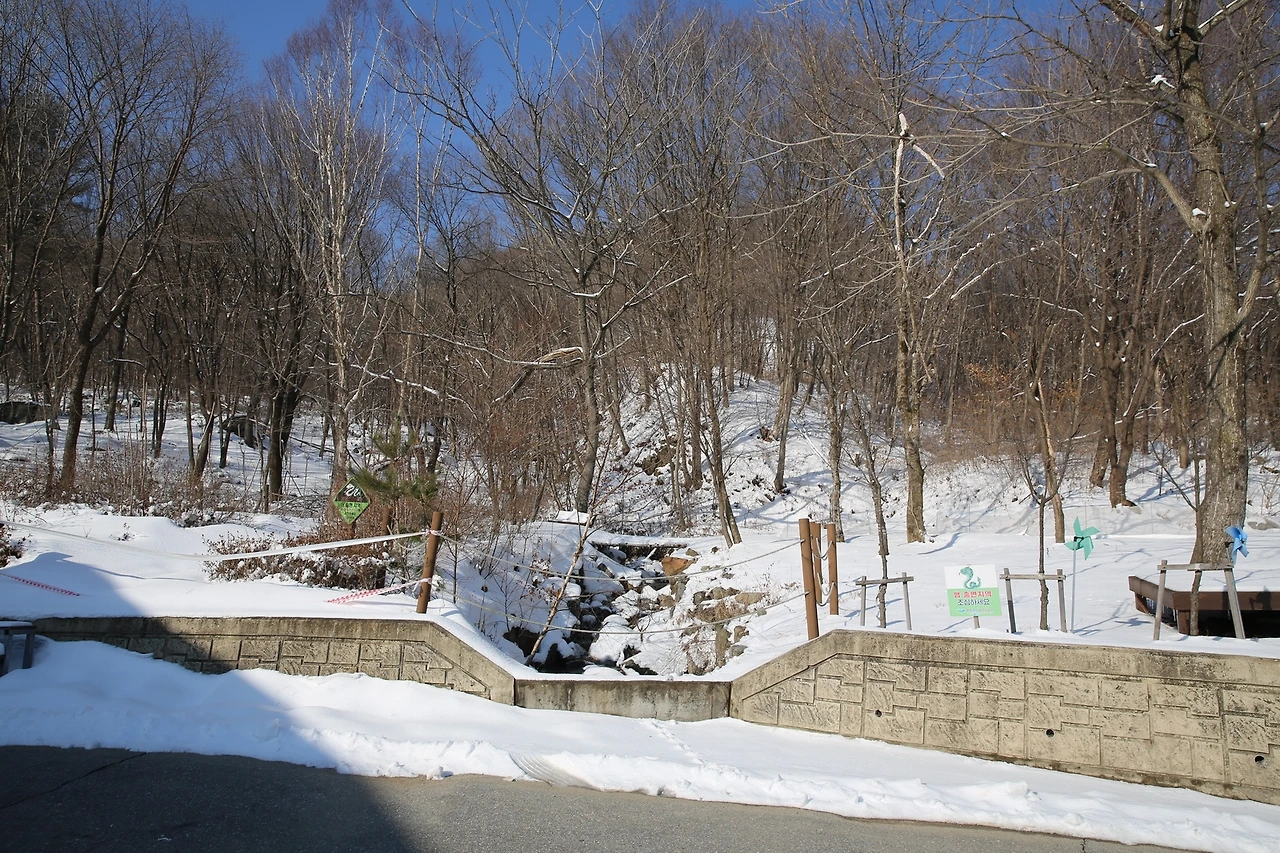 MG0A5032_новый размер.JPG