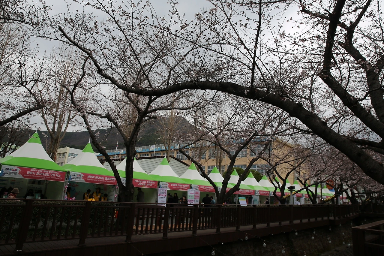 MG0A6191_новый размер.JPG