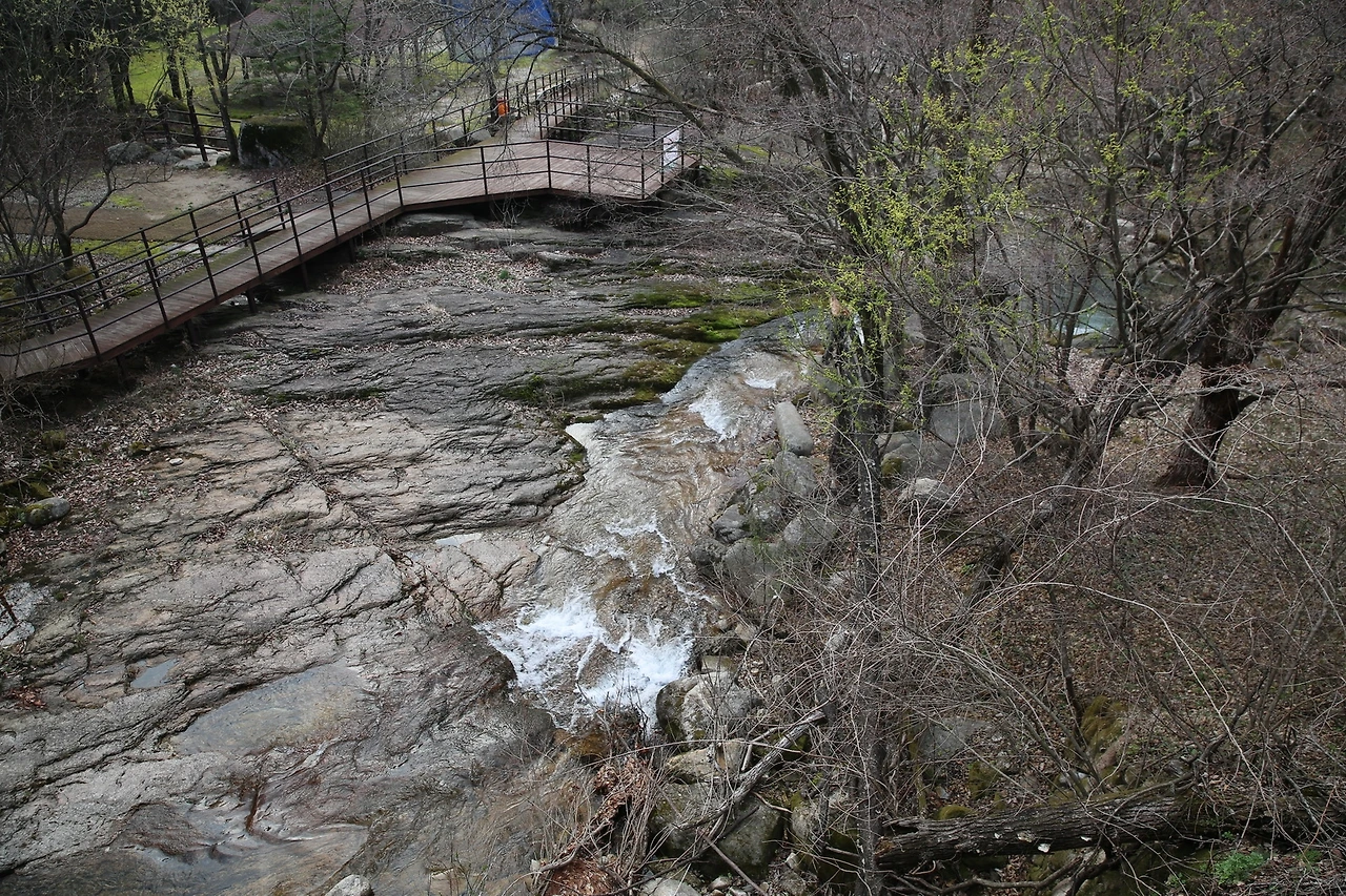 MG0A8364_новый размер.JPG