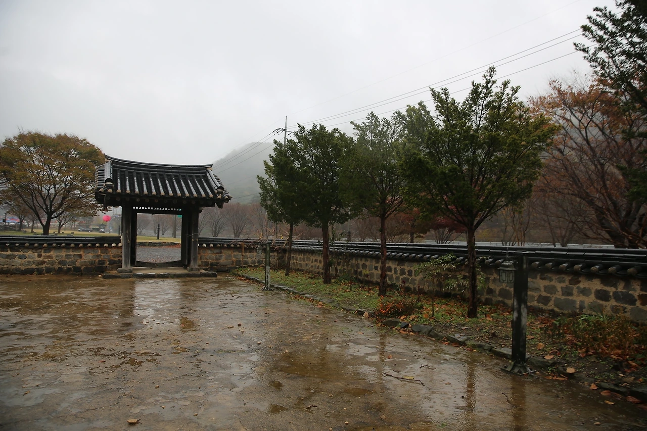 MG0A0894_новый размер.JPG