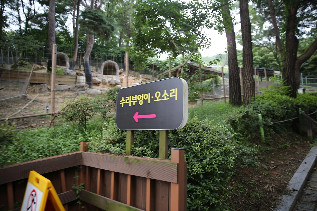 MG0A9613_новый размер.JPG