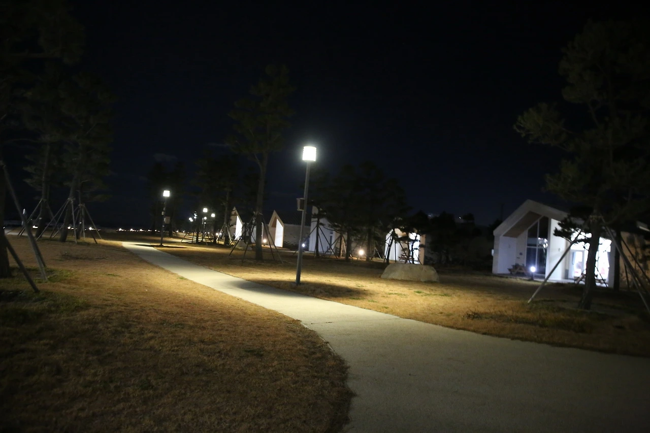 MG0A2404_новый размер.JPG