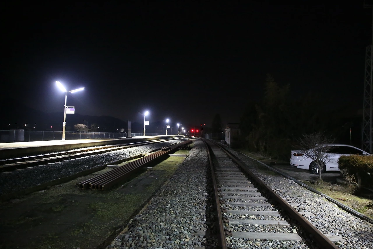 MG0A9697_новый размер.JPG