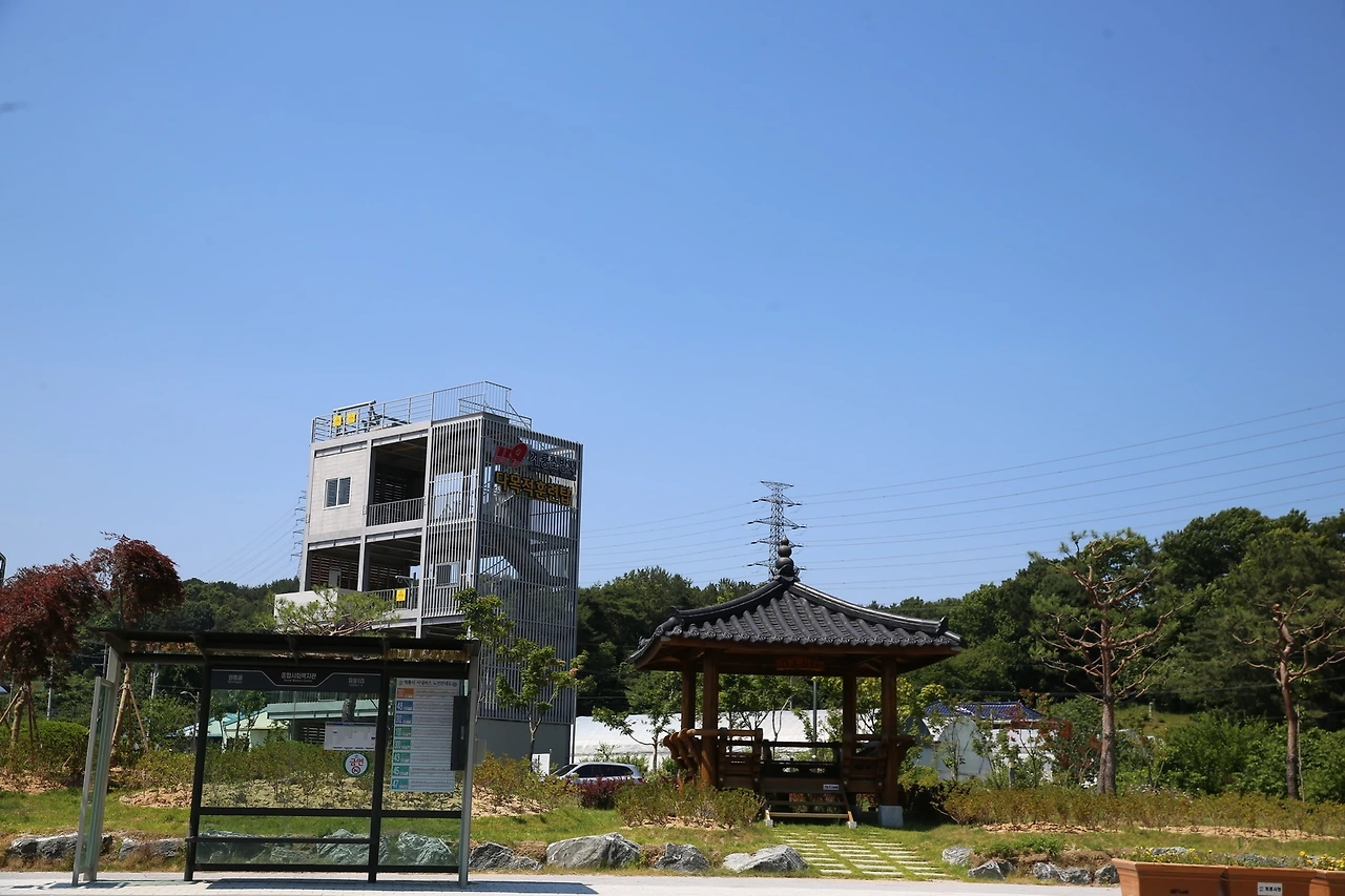 MG0A8861_новый размер.JPG