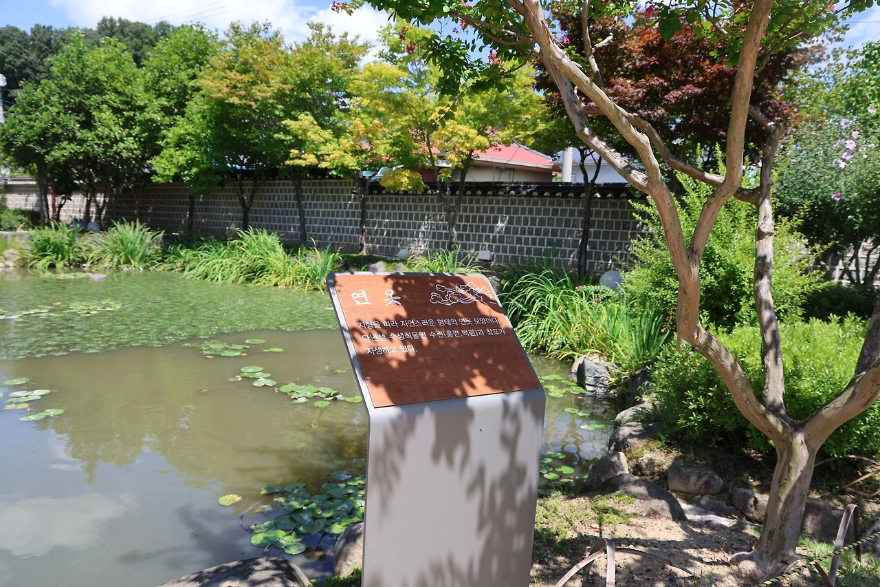 0R5A2624_новый размер.JPG