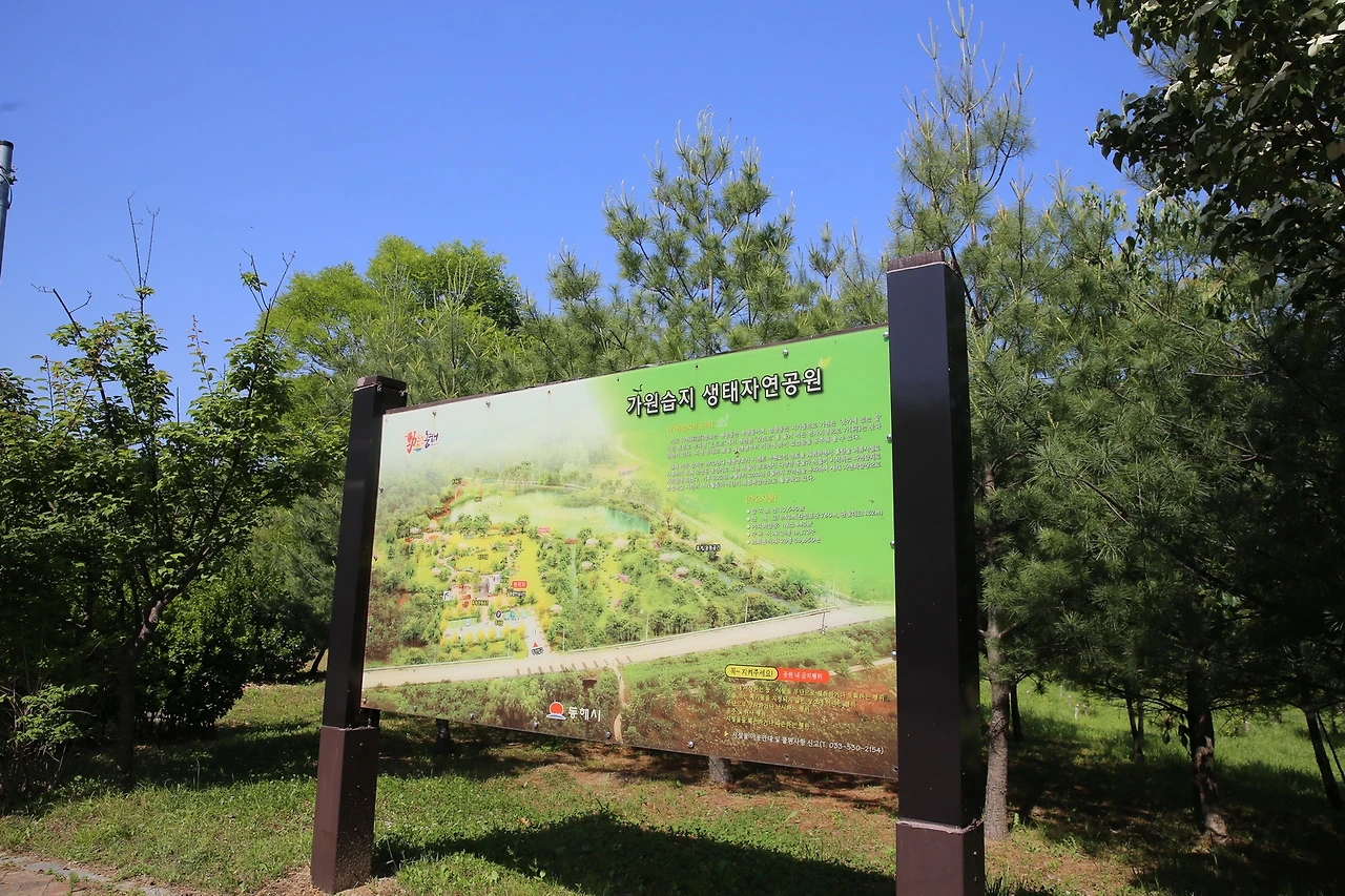 MG0A0051_новый размер.JPG