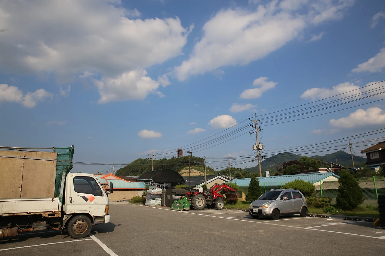 MG0A1651_новый размер.JPG