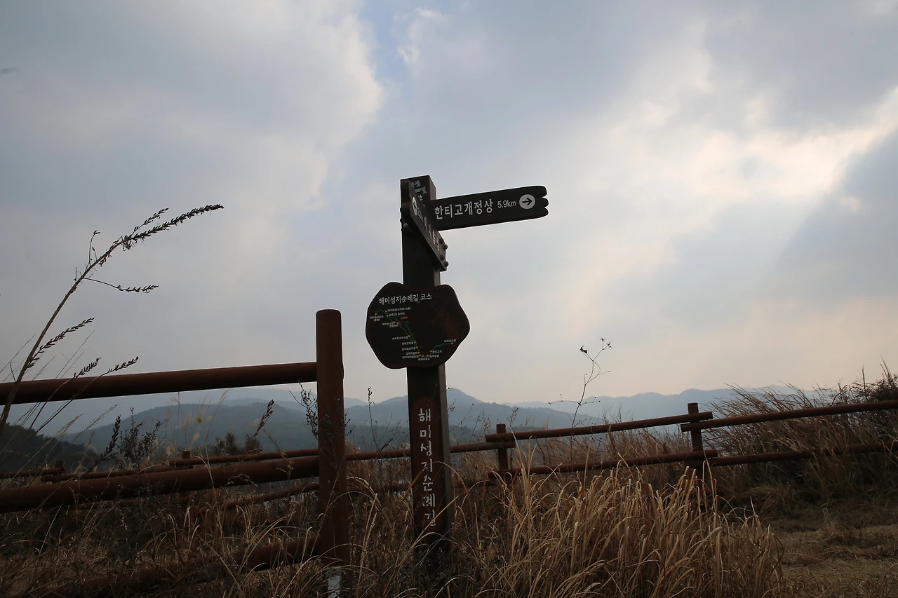 MG0A6691_новый размер.JPG