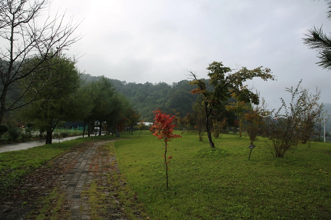 MG0A5567_новый размер.JPG