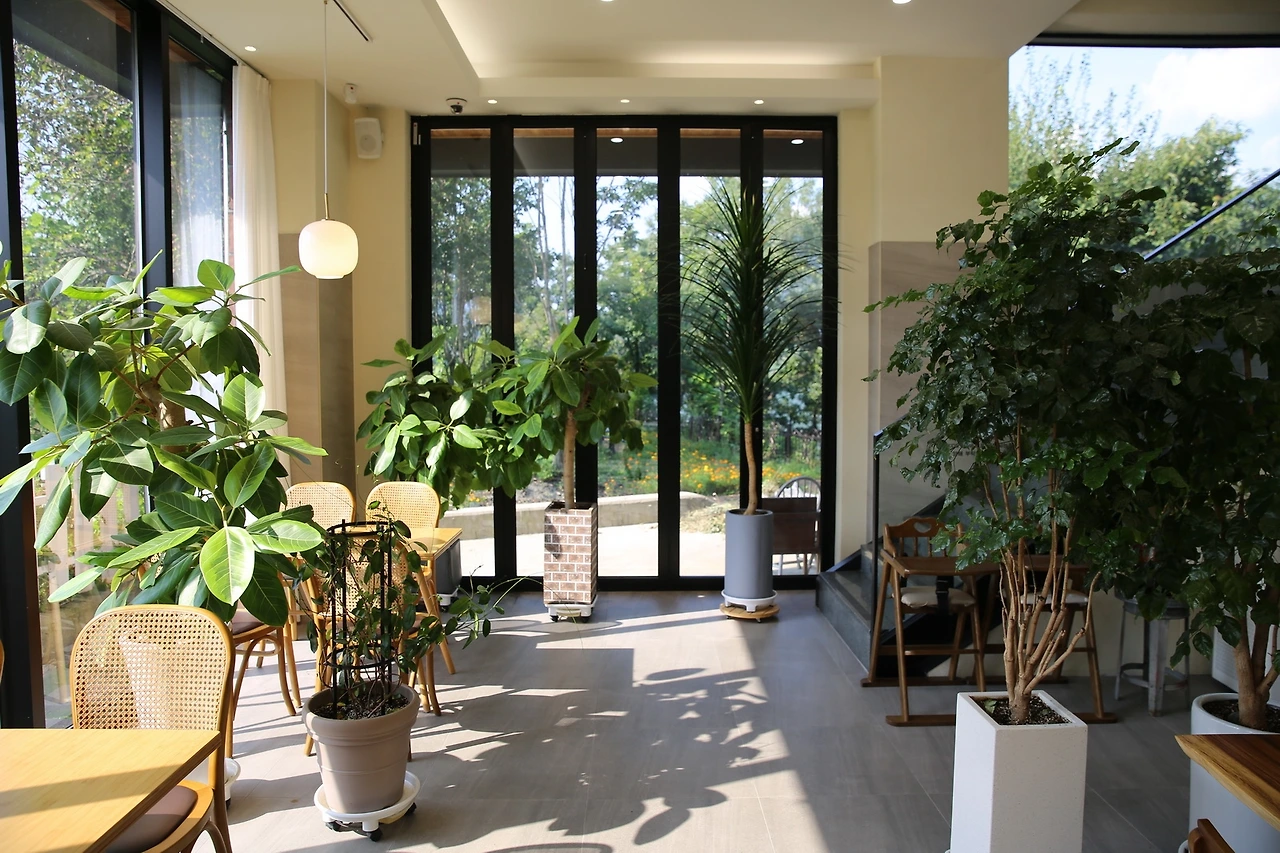 MG0A1569_новый размер.JPG