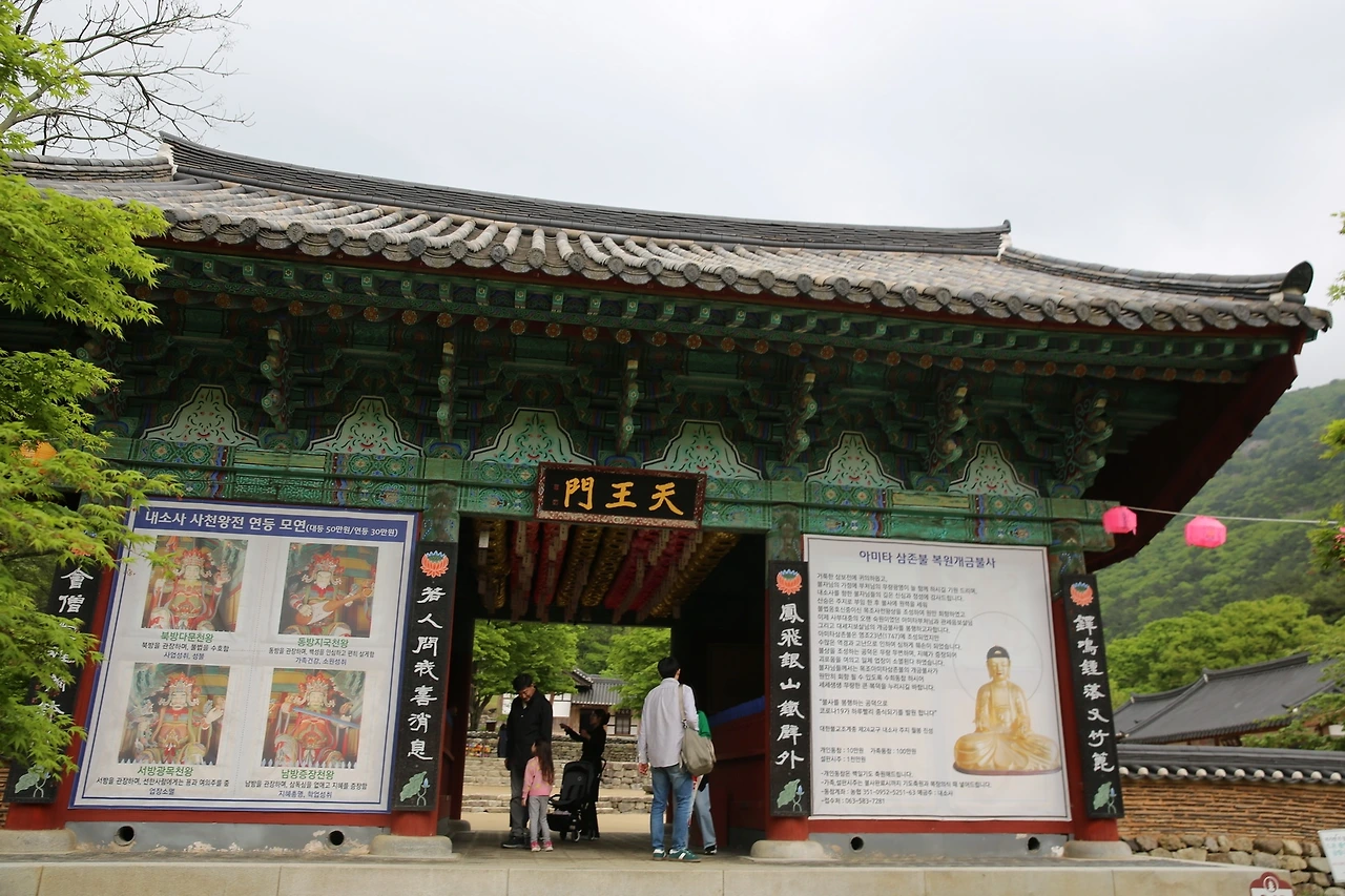 MG0A0590_новый размер.JPG