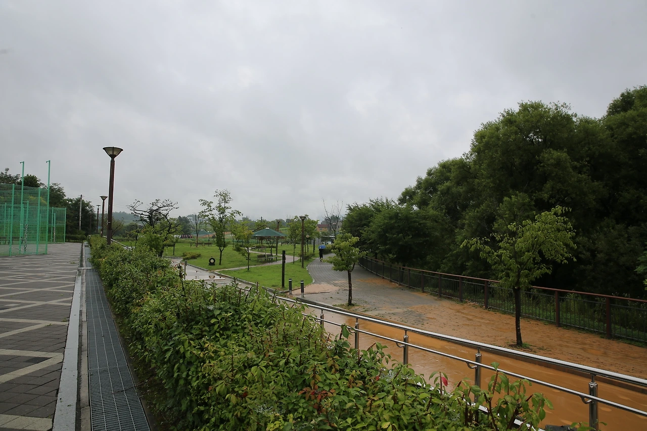 MG0A2461_новый размер.JPG