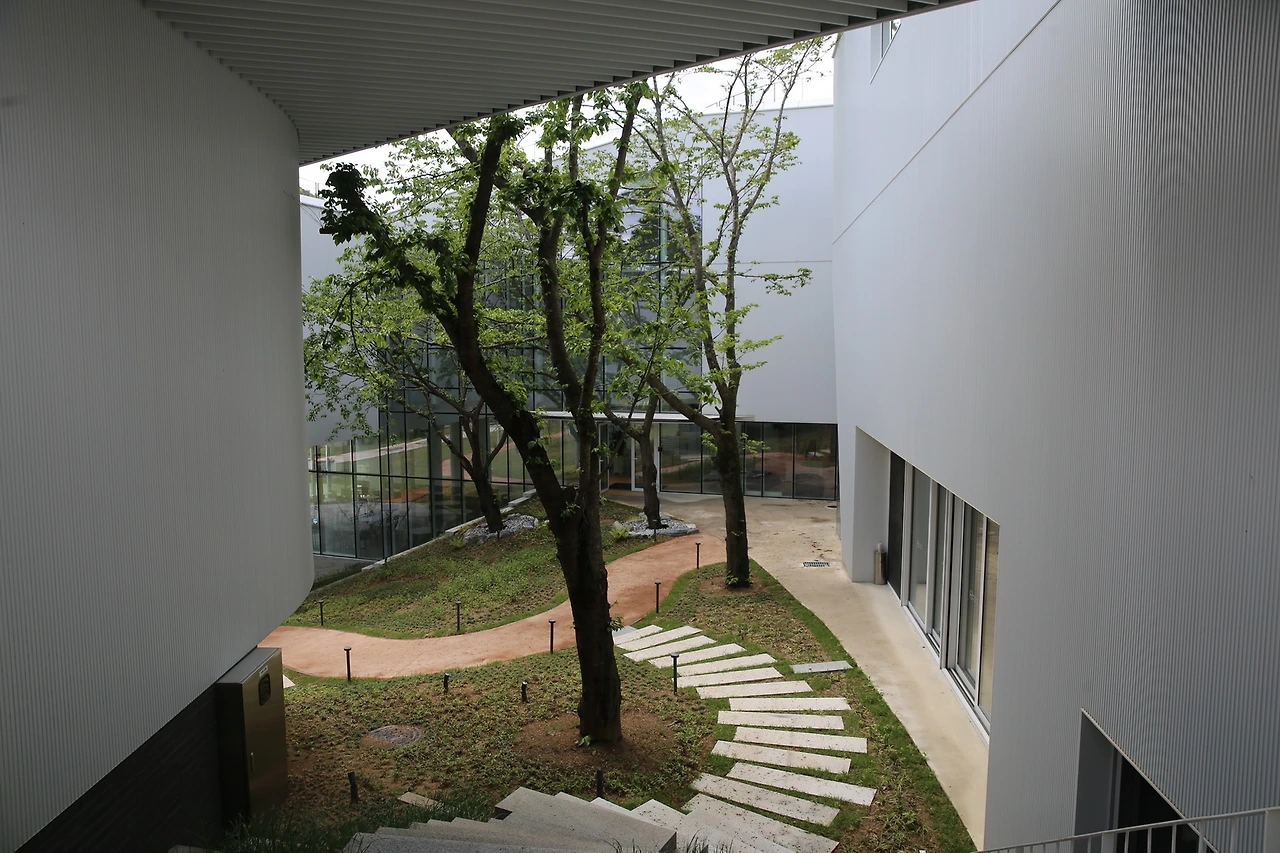 MG0A0765_новый размер.JPG