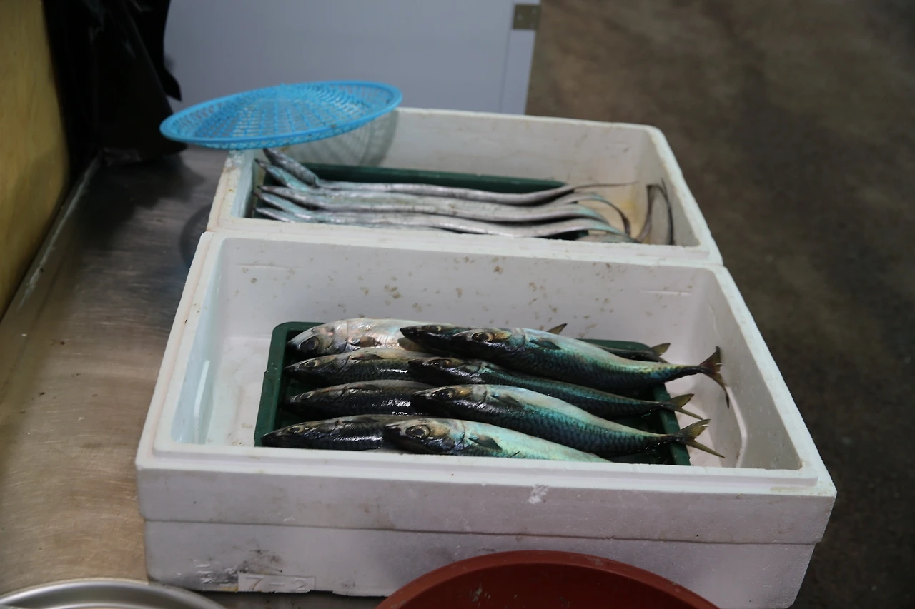 MG0A6919_новый размер.JPG