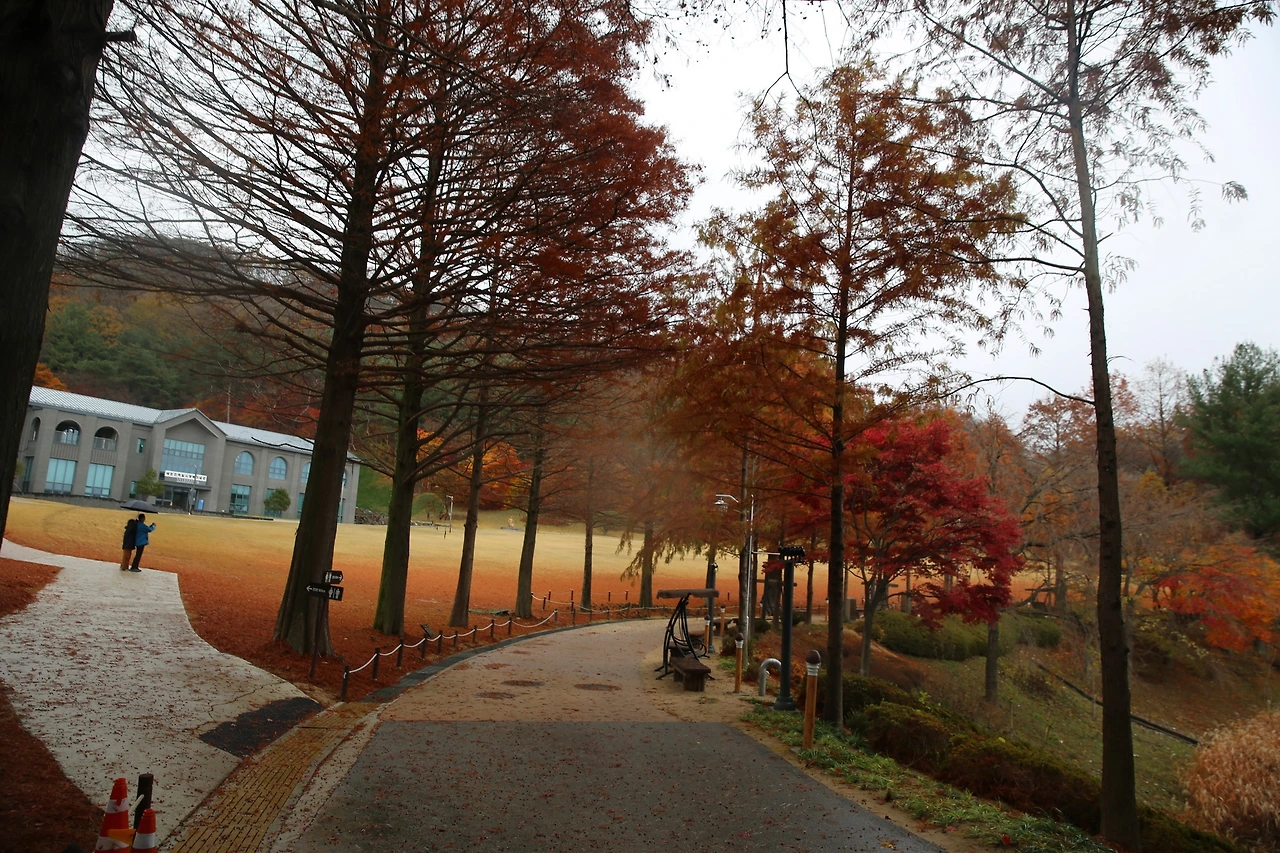 MG0A2095_новый размер.JPG