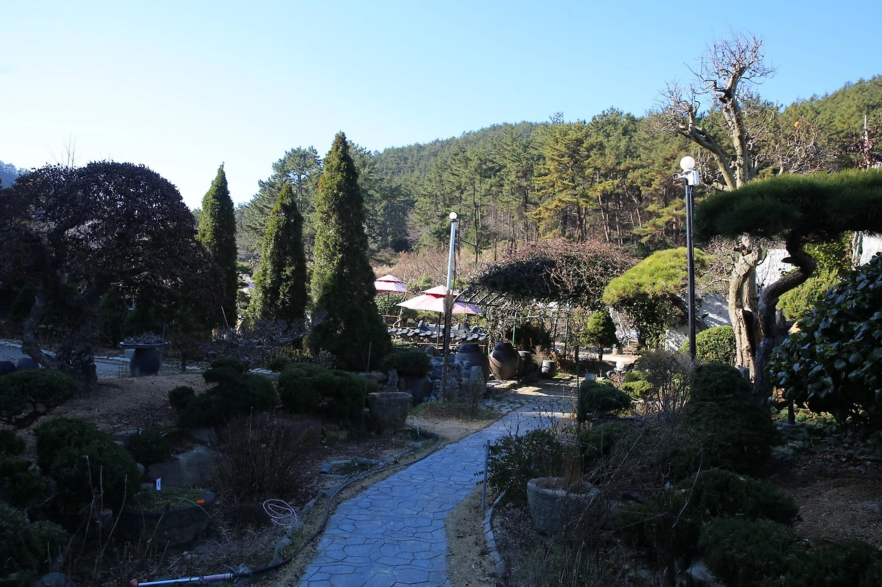 MG0A4767_новый размер.JPG