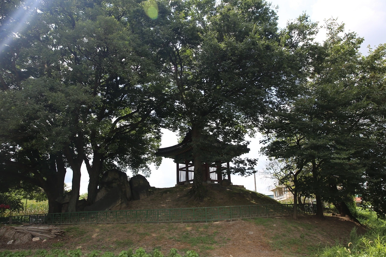 MG0A7859_новый размер.JPG