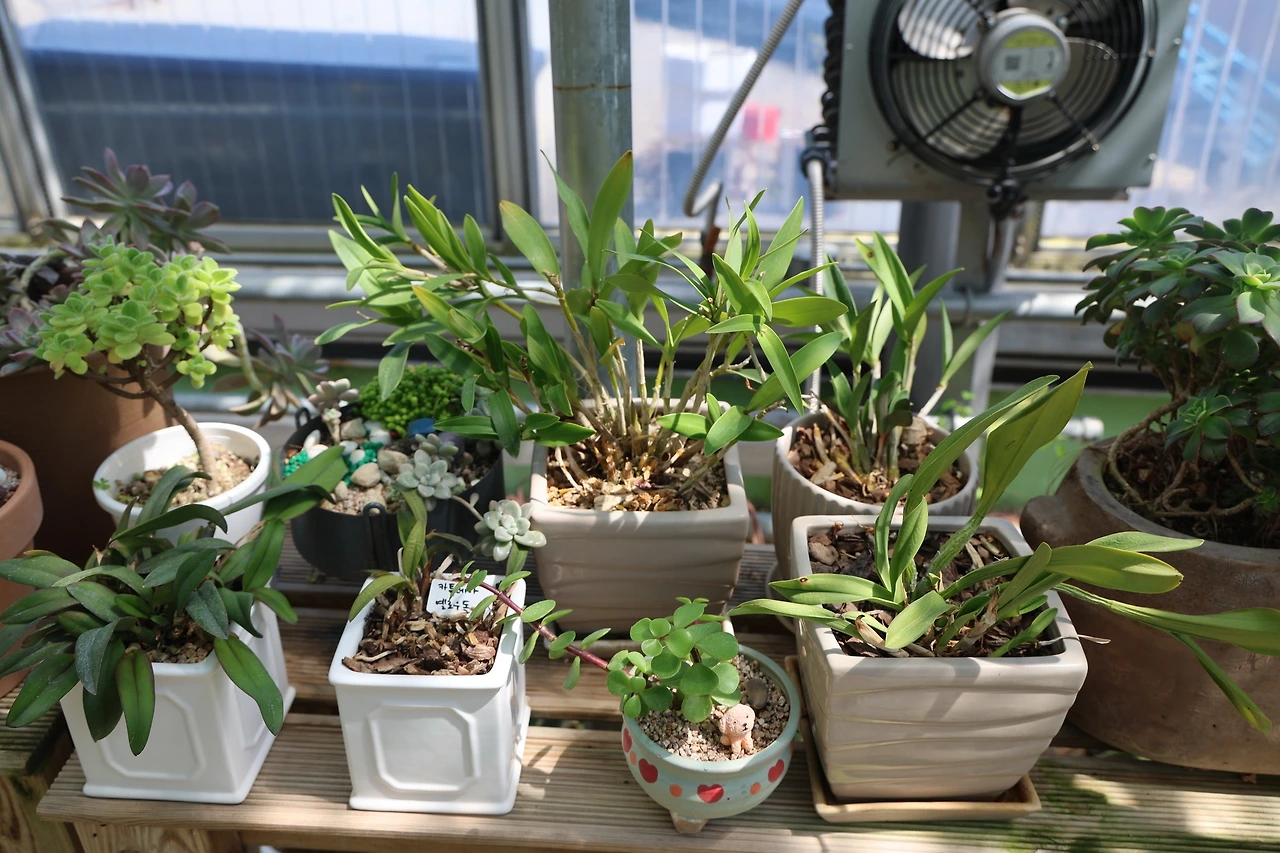 0R5A5900_новый размер.JPG