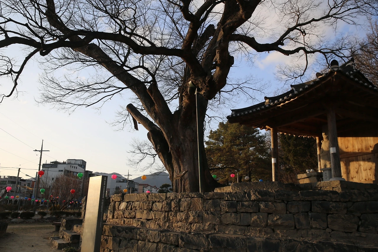 MG0A2030_новый размер.JPG