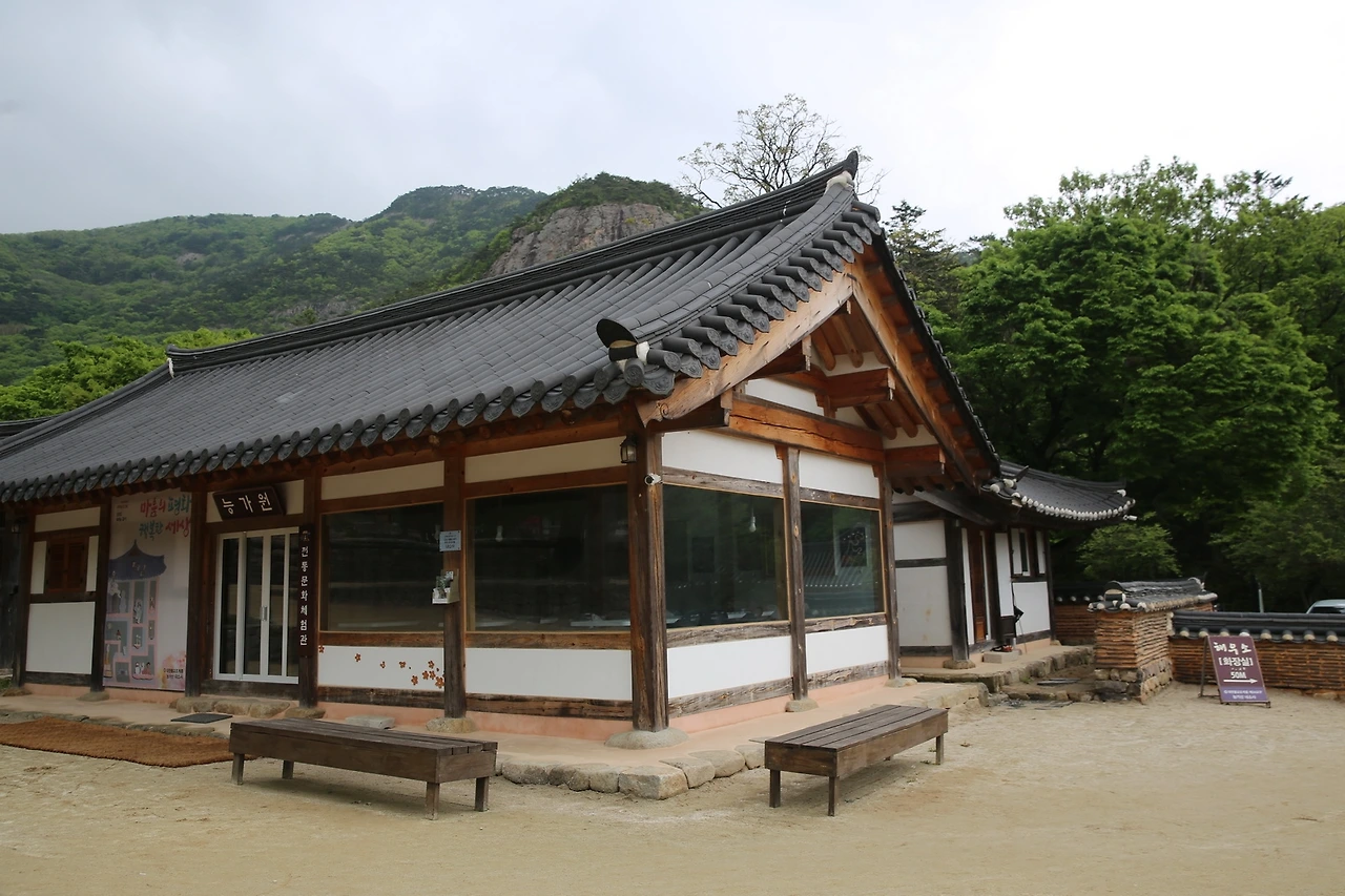 MG0A0601_новый размер.JPG