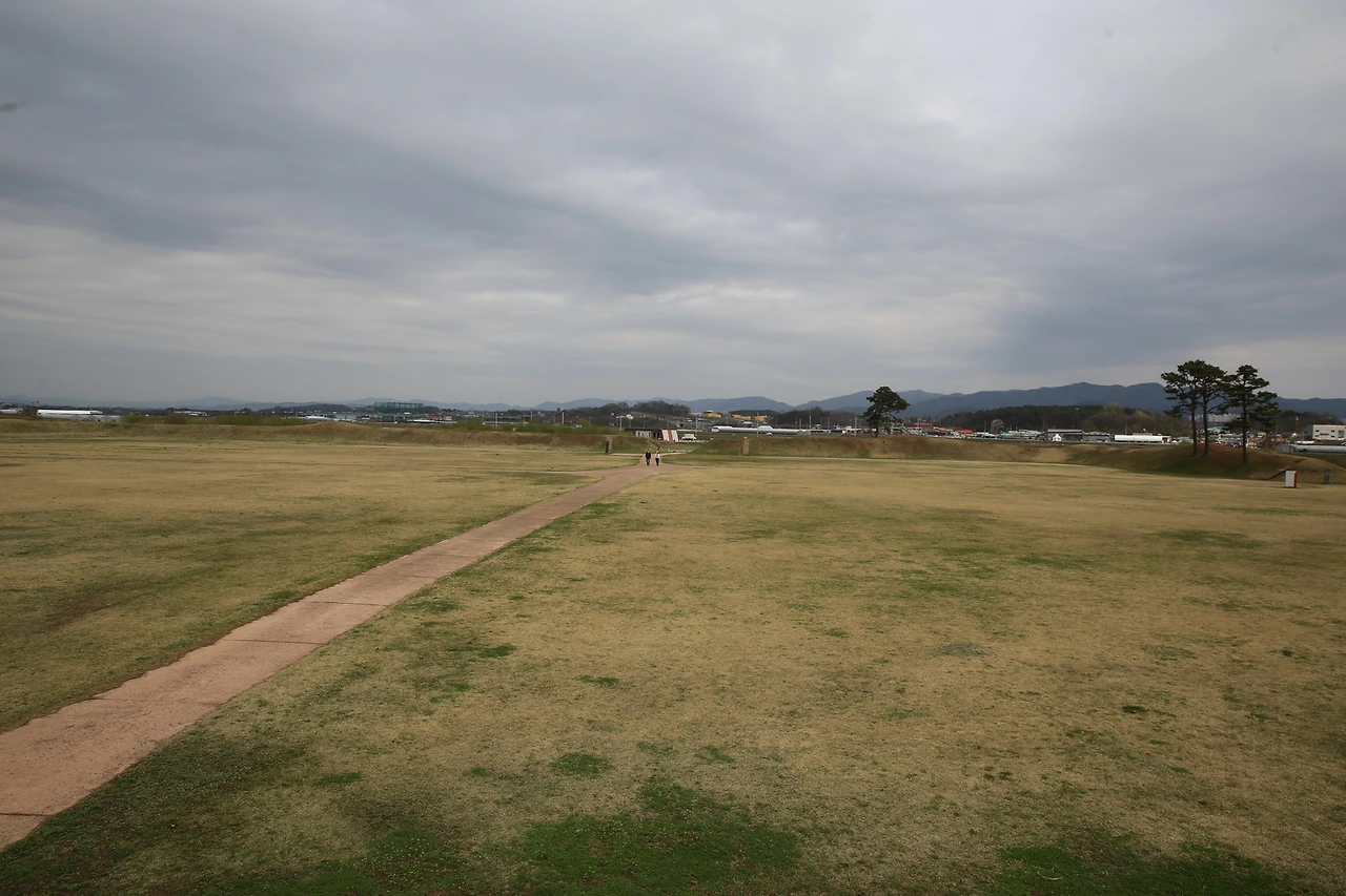 MG0A8246_новый размер.JPG