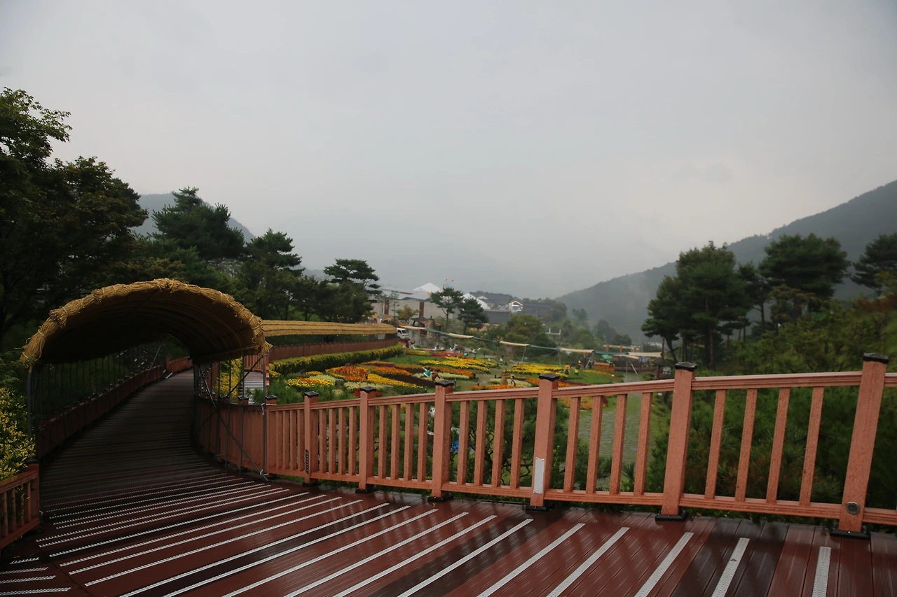 MG0A3062_новый размер.JPG