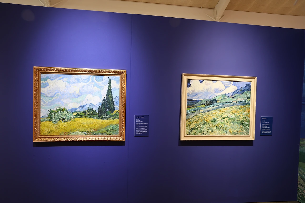 0R5A8378_новый размер.JPG