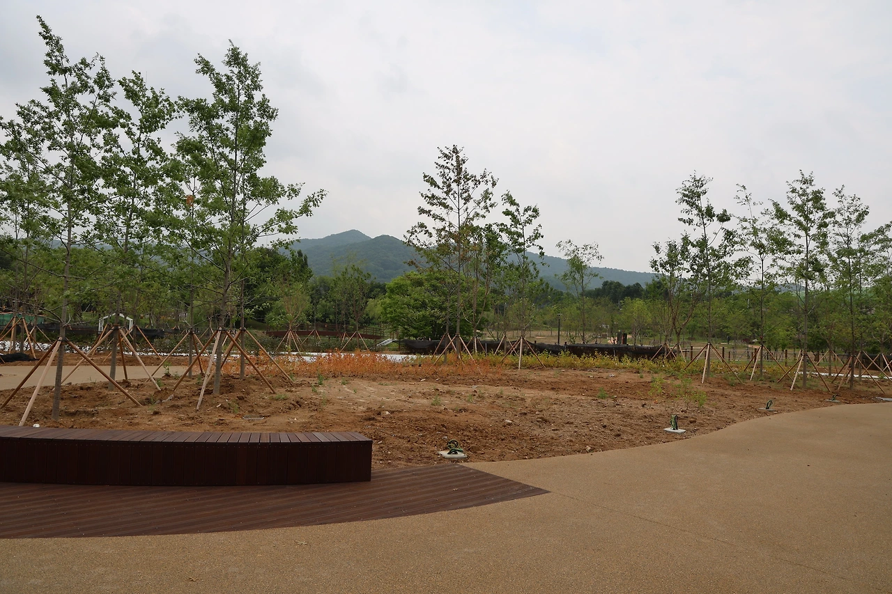 0R5A5643_новый размер.JPG