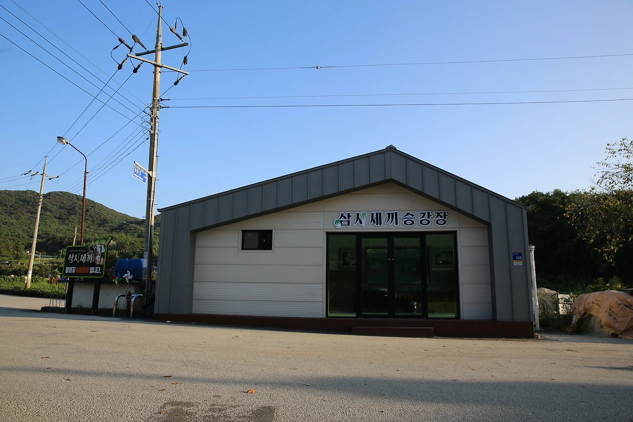 MG0A1365_новый размер.JPG