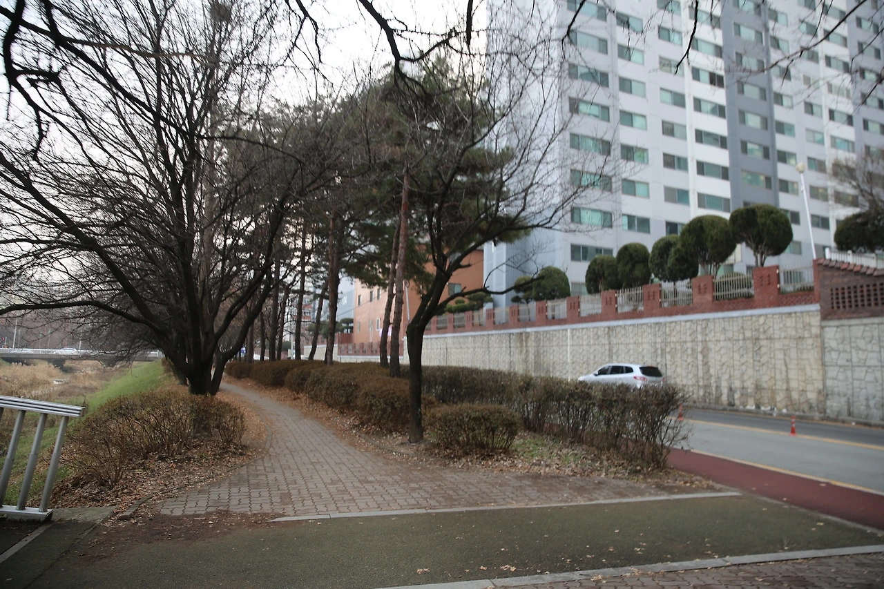 MG0A5588_новый размер.JPG