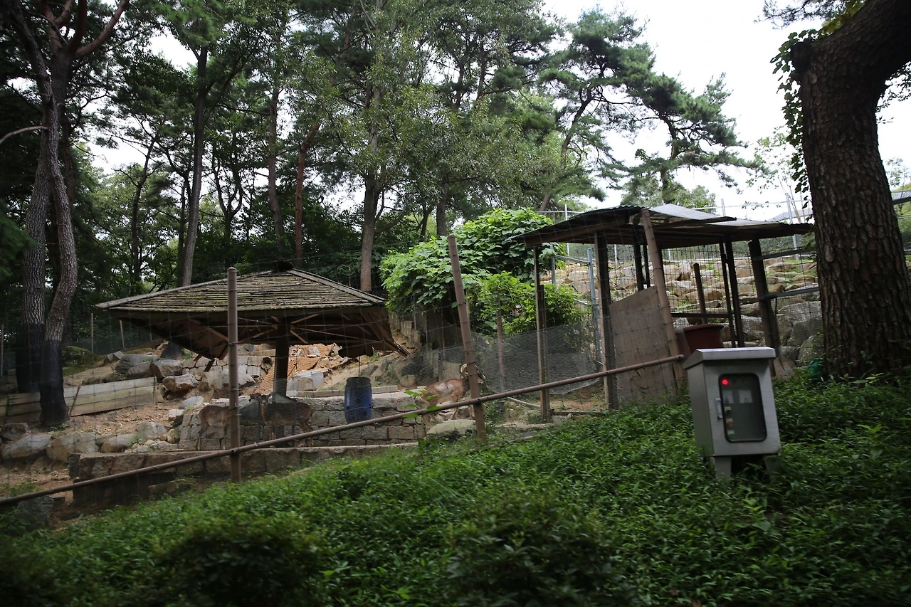 MG0A9615_новый размер.JPG