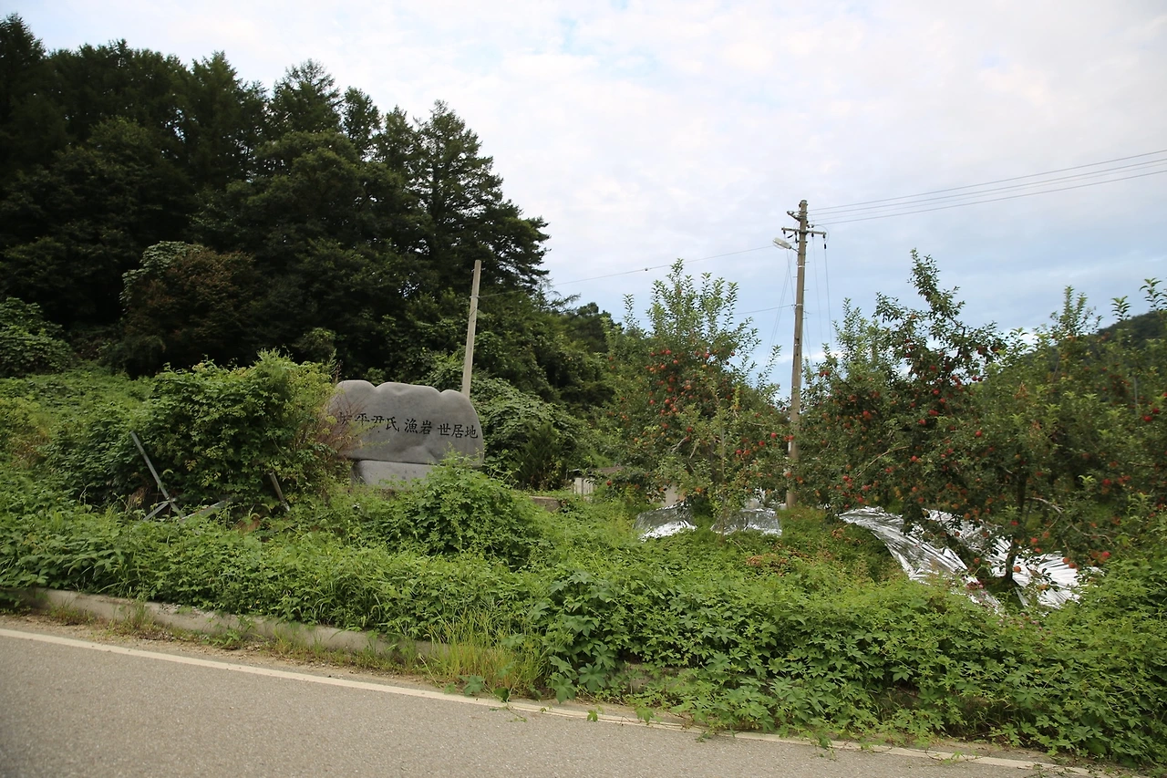 MG0A0608_новый размер.JPG