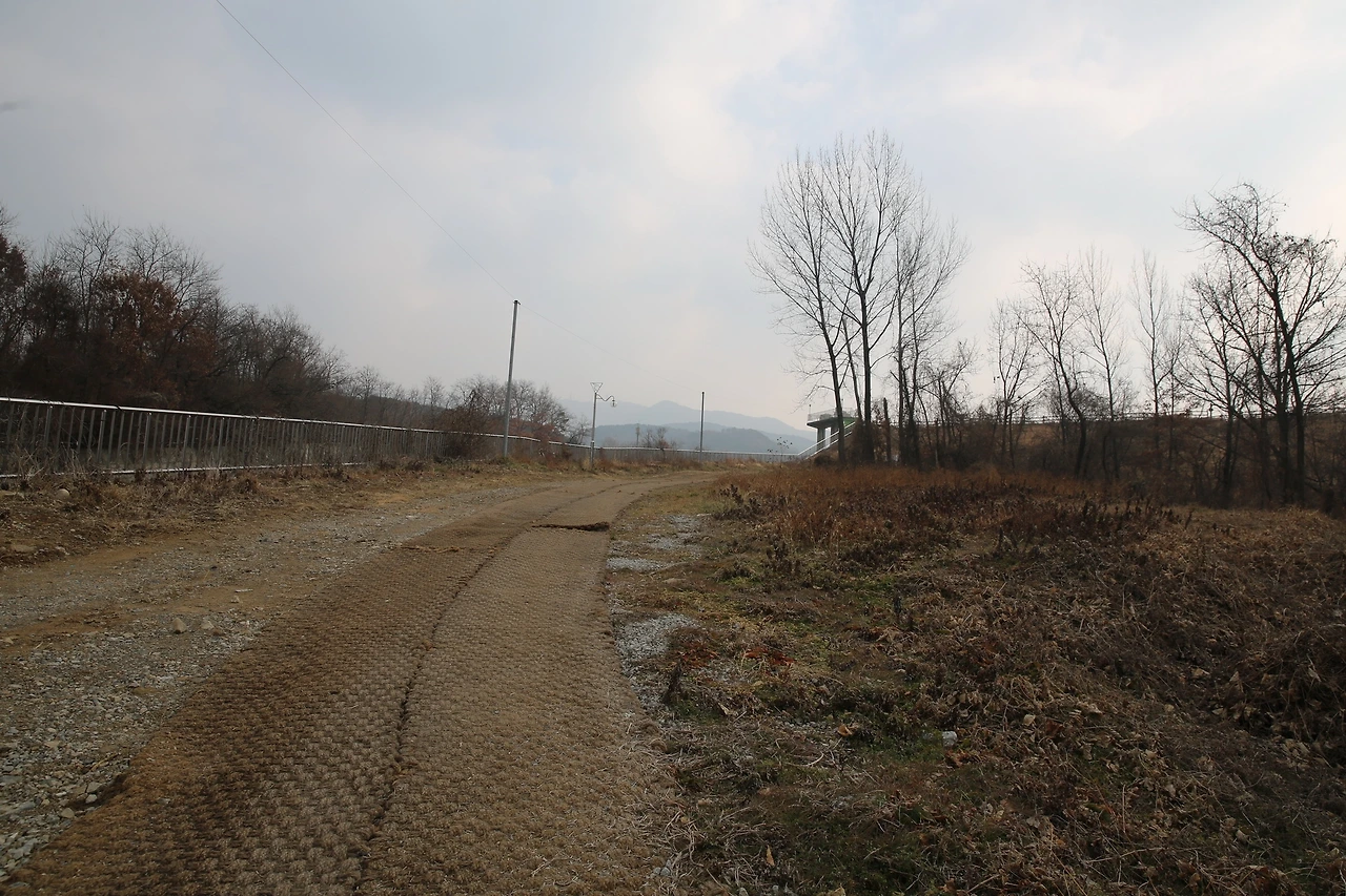 MG0A6689_новый размер.JPG