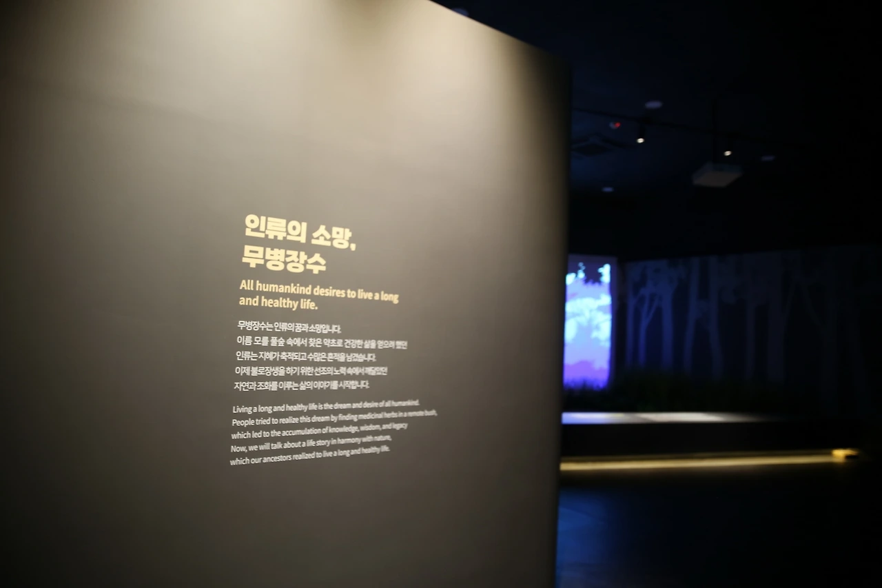 MG0A2883_новый размер.JPG