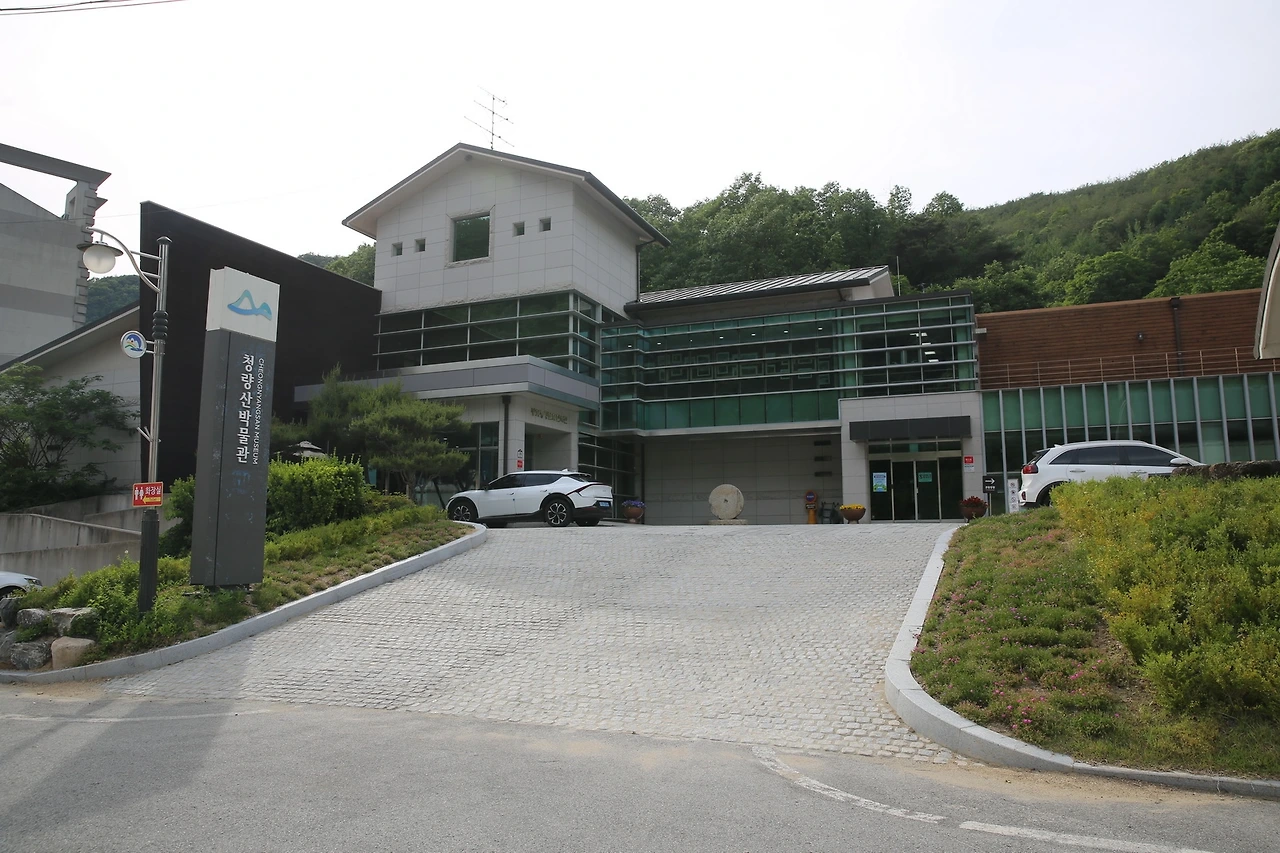 MG0A9725_новый размер.JPG